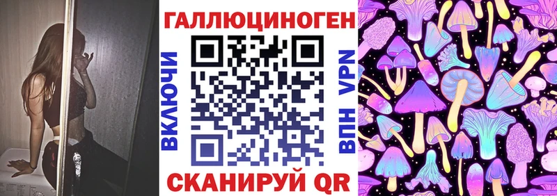 Купить закладки Суоярви Псилоцибиновые грибы GOLDEN TEACHER